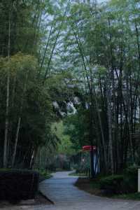 武漢江夏呢個神仙級別嘅度假村太舒服啦