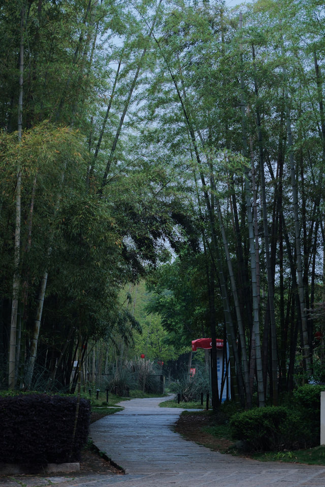 武漢江夏呢個神仙級別嘅度假村太舒服啦
