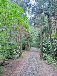 狼山遊記 曲徑通幽的山間路