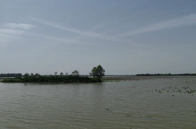 曹禺故里，龍蝦之鄉