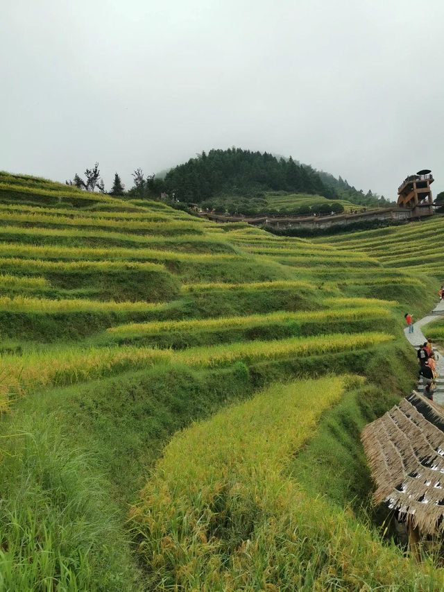 婁底旅遊必備攻略（超全）
