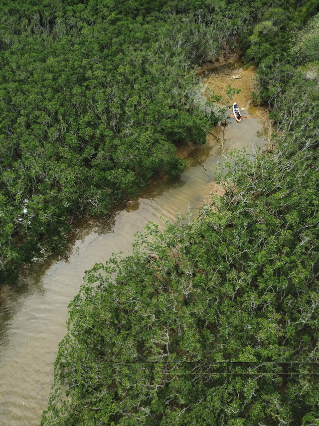 🏝️香港大尾督村，皮划艇的海上樂園