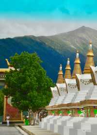 六月趣旅行  香格里拉正當時（避坑指南）