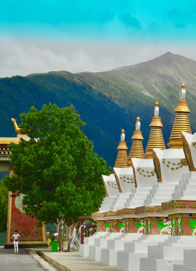 六月趣旅行  香格里拉正當時（避坑指南）