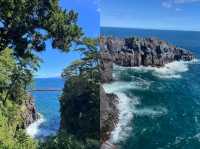 日本伊豆觀海｜賞最美海岸線