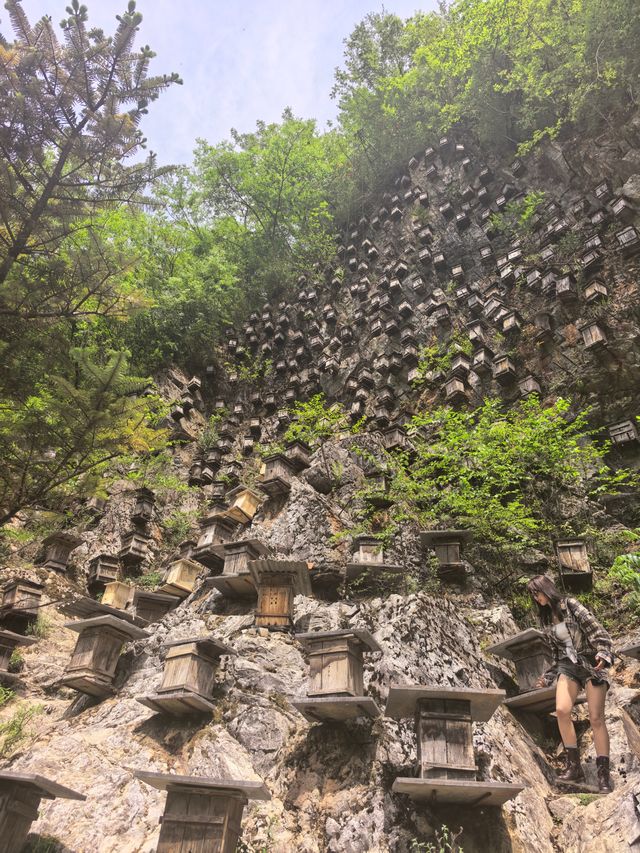 西安周邊遊｜湖北神農架