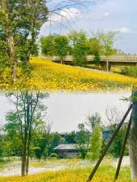 夏日消暑指南：黃昏去濕地公園追一場橘子味日落啦！