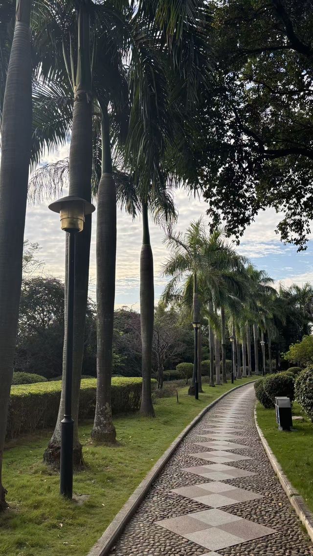 超chill嘅閩江公園