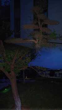 「九曲苑」—— 藏喺雲端嘅治癒系美宿
