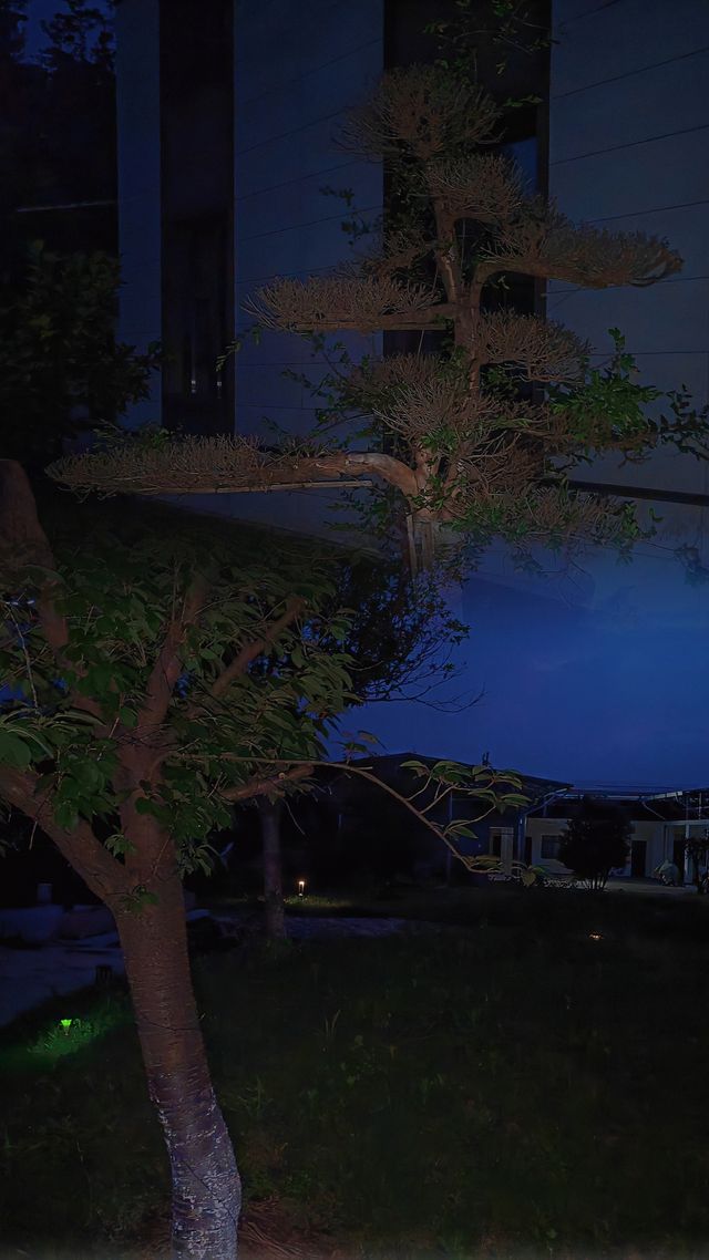 「九曲苑」—— 藏喺雲端嘅治癒系美宿
