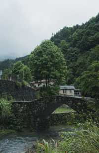 雨季嘅松陽，再次激起我隱居嘅心