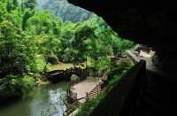 樂山美拉酒店與沐川竹海的邂逅