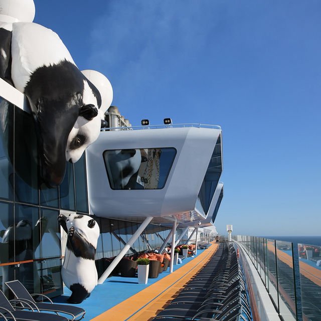 🚨 Royal Mid-Year Cruise Deal Just Dropped!