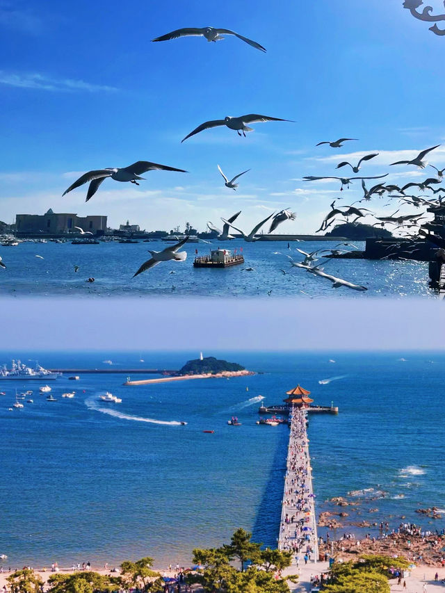奔赴一場向海而生的浪漫
