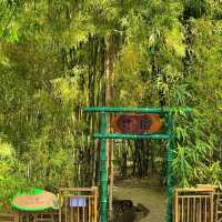 香港動植物公園！呢個冷門公園火烈鳥喺陽光下靚到令人窒息