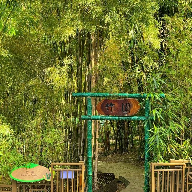 香港動植物公園！呢個冷門公園火烈鳥喺陽光下靚到令人窒息