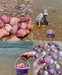帶父母遊煙台｜三天兩夜真實攻略｜避開人潮的山海慢生活