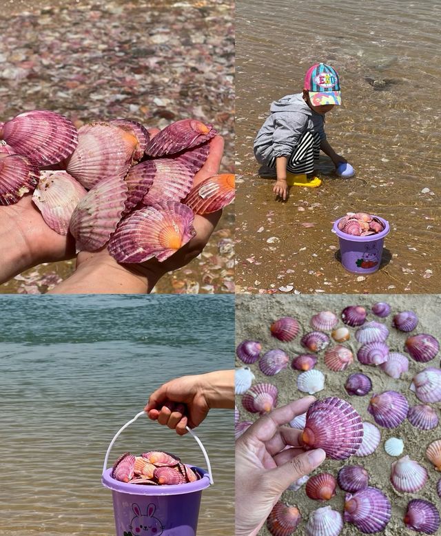 帶父母遊煙台｜三天兩夜真實攻略｜避開人潮的山海慢生活