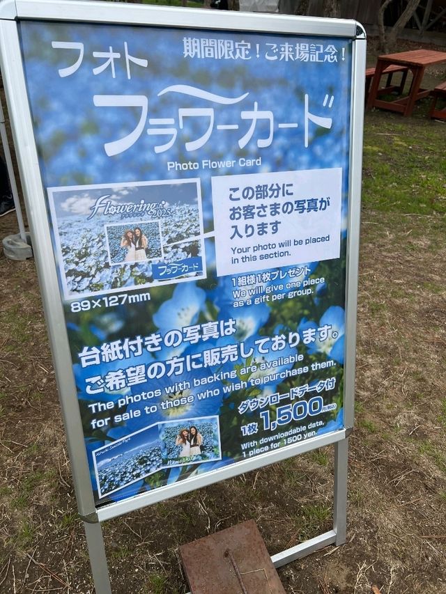 日本東京國營常陸海濱公園一日遊，賞花親子遊）🌼🎢  