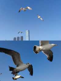 星海幻瀑：光影與銀河的邂逅 墜入星海的夏日銀河清新浪漫，吸引遊