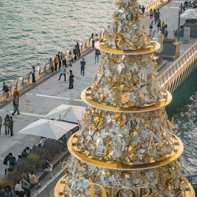 🎄聖誕唔知去邊好？香港呢6個打卡位靚到爆！