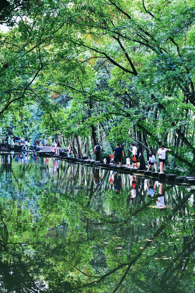 徽州嘅夏天，夜晚特別養眼