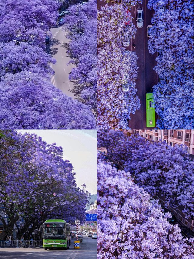人均500玩轉西昌！邛海燒烤古城全攻略，3日2夜玩到唔想走