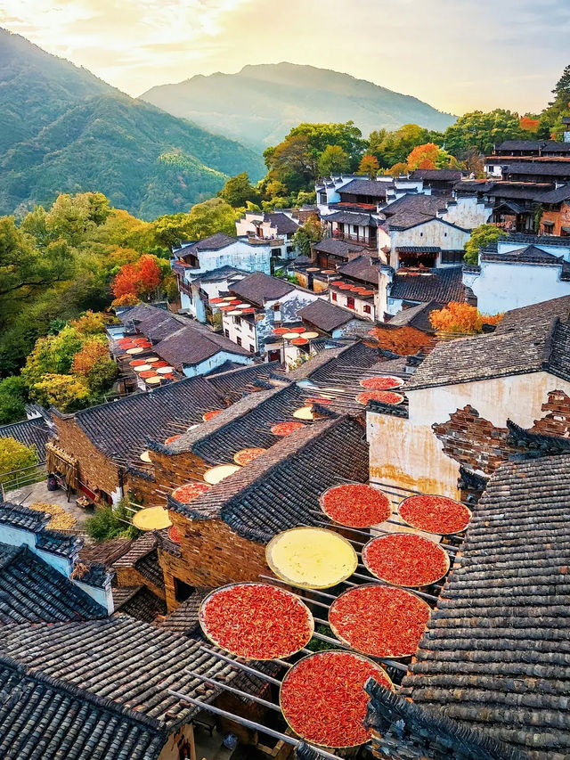 住在婺源鈴嵐居，真係樂不思蜀！