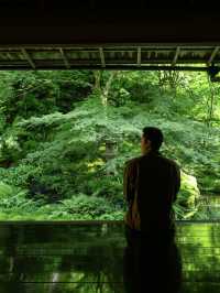 京都 | 有一種綠叫做「京都綠」