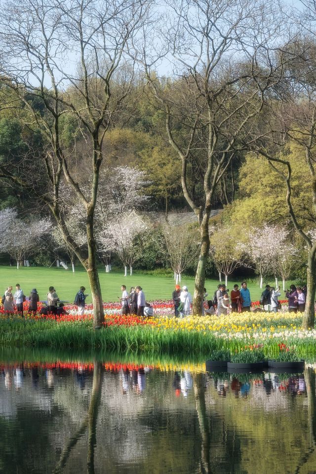 太子灣公園旅遊攻略