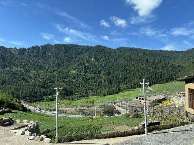 扎尕那沒有意外