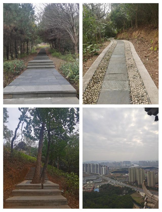 【宜陽森林公園暴走攻略】承包宜春人嘅「城市綠肺」，吸氧、遛娃、影靚相一網打盡！   一入園就被滿眼綠