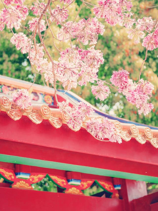 禪意縈繞｜探尋廈門天竺岩寺的千年靜謐】**  