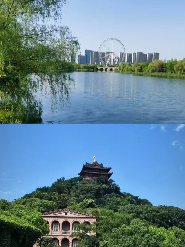 鎮江已返，唔知當講唔當講。
