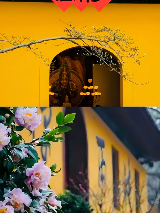 法雨寺打卡攻略｜海天佛國裡的千年禪韻
