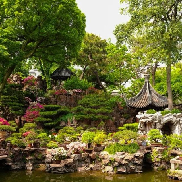 魔都百年豫園保姆級攻略