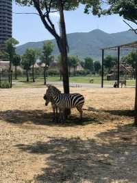 湖州龍之夢動物世界 | 沉浸式親子遊&動物探秘指南