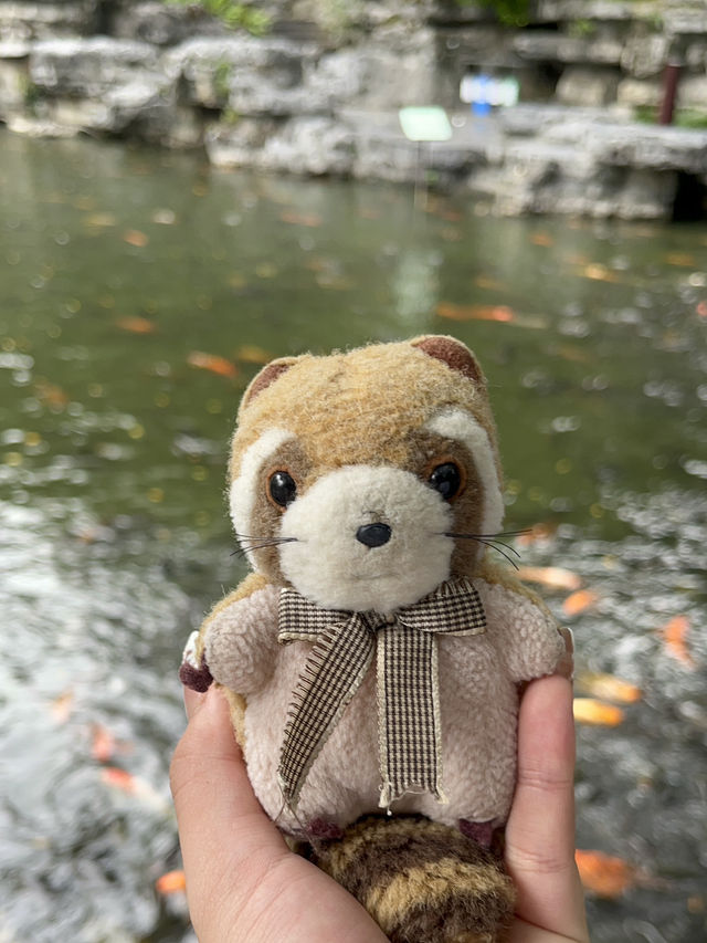 🌧️ 柳州人才懂的雨天浪漫！柳侯公園餵魚賞雨秘境大公開