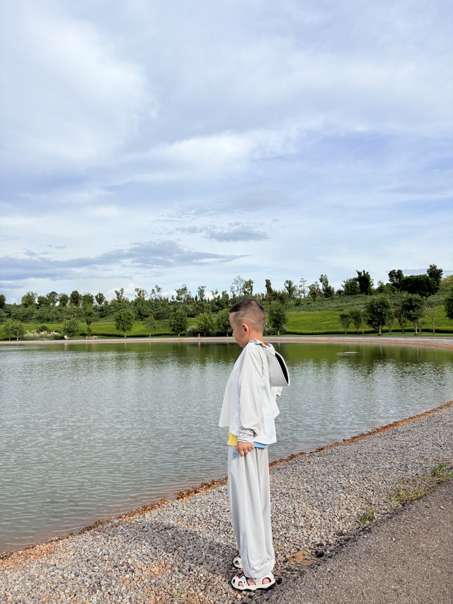 暑假親子遊|彌勒太平湖森林公園(附攻略) 暑假親子遊|彌勒太平湖森林公園(附攻略)