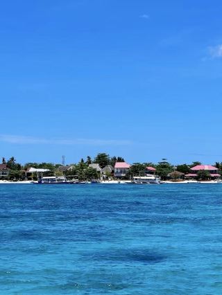 Anilao｜微距天堂的細膩奇觀