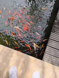 Beautiful Setting, Improvement Needed in Service Quality