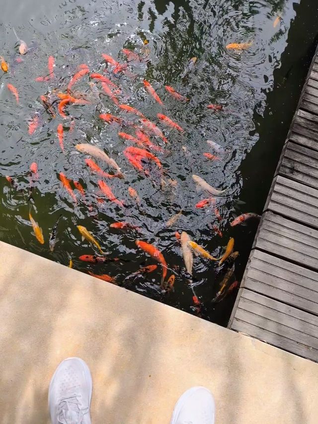 Beautiful Setting, Improvement Needed in Service Quality