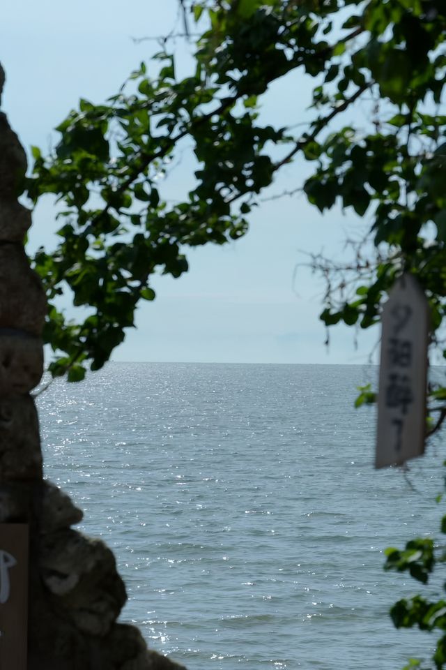 一路向南，在中國大陸的盡頭被治癒了｜湛江南極村2天1夜小眾