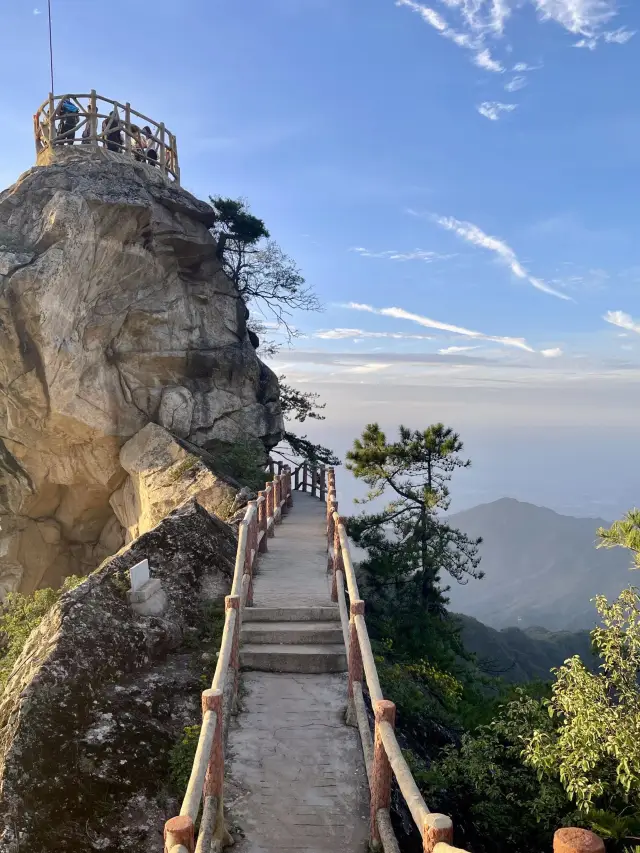 棲息在塵囂之外的綠意詩篇:祥峪森林公園