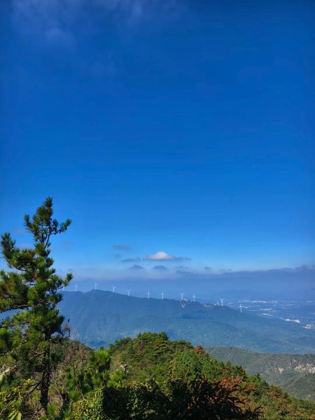 【孝感新玩法】穿越千年孝文化!槐蔭河夜遊、祥云灣古裝打卡 【孝感新玩法】穿越千年孝文化!槐蔭河夜遊、祥云灣古裝打卡