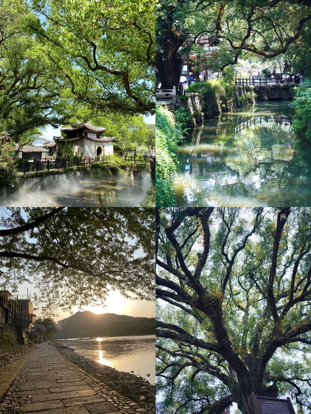 江南秘境打卡攻略