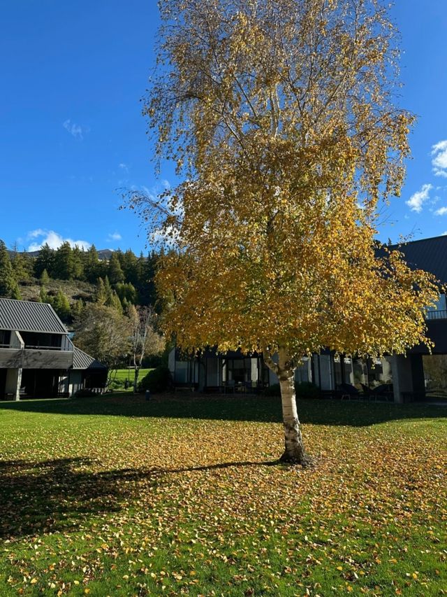 瓦納卡湖畔野奢酒店!Edgewater美到窒息! 瓦納卡湖畔野奢酒店!Edgewater美到窒息!