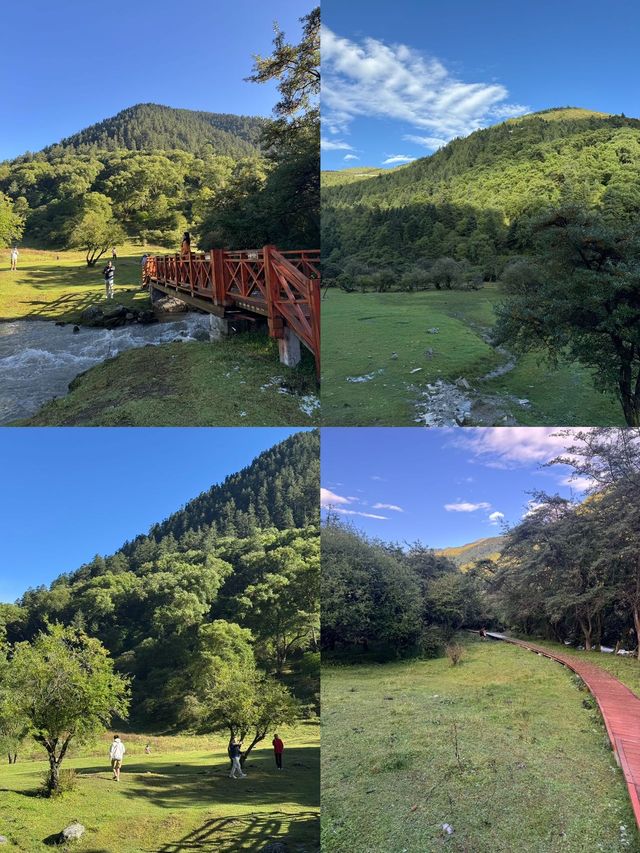 川西｜在四姑娘山住進秋天裡