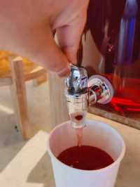 lyf Dayanta Xi’an: A Hidden Gem You’ll Never Want to Leave!