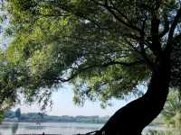 秋日奧林匹克公園-南園私藏打卡路線